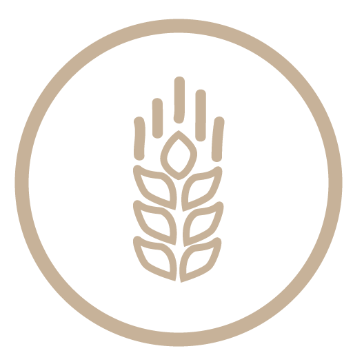 Grano