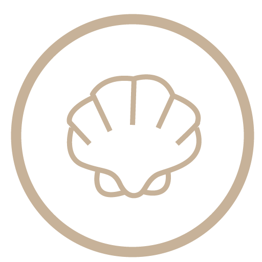 Molluschi Molluschi