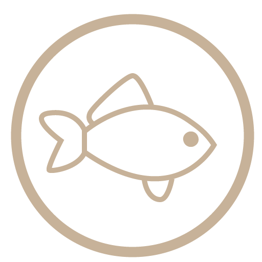 Pesce