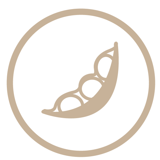 Soya