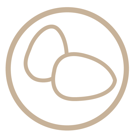 Uova